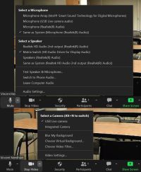 Zoom audio & video settings - Click To Enlarge